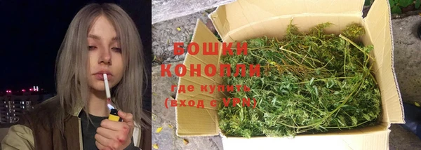 прущие грибы Белоозёрский