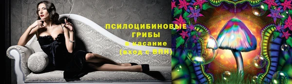 круглые Белокуриха