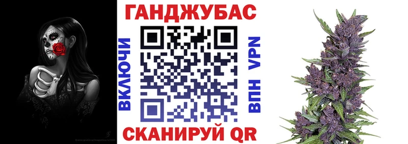 Бошки Шишки THC 21%  ссылка на мегу tor  Кедровый 